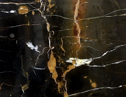 Black & Gold